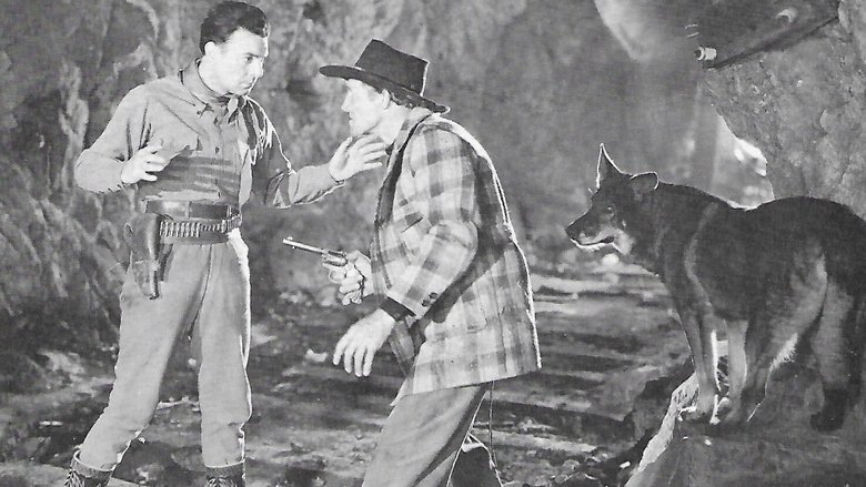Backdrop image for movie The Lightning Warrior
