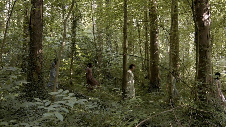 Backdrop image for movie The Melusinas at the Edge of the River