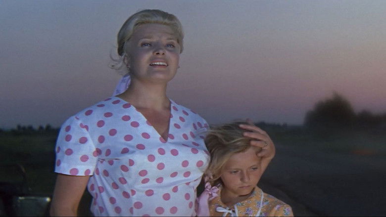 Backdrop image for movie The Stepmother