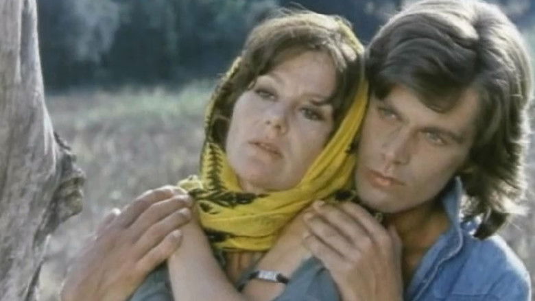 Backdrop image for movie House on the Rocks