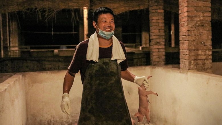 Backdrop image for movie The River of Fury
