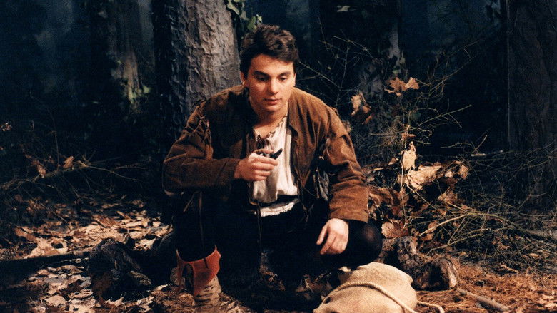 Backdrop image for movie Jak Vojtěch pro princeznu do ohně skočil