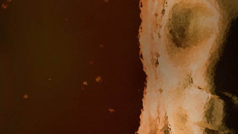 Backdrop image for movie The Polizzi Project