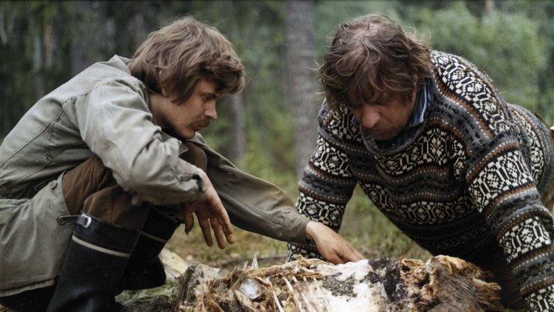 Backdrop image for movie Lampaansyöjät
