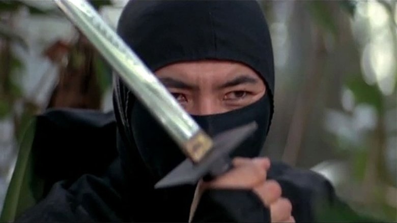 Backdrop image for movie Pray for Death