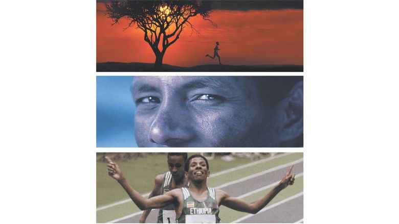 Backdrop image for movie Endurance