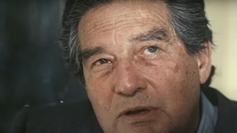 Backdrop image for movie The Language of Trees