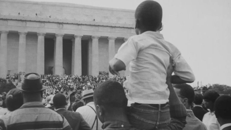 Backdrop image for movie Wealth of a Nation