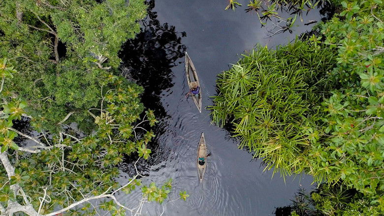 Backdrop image for movie Frontier Sumatra
