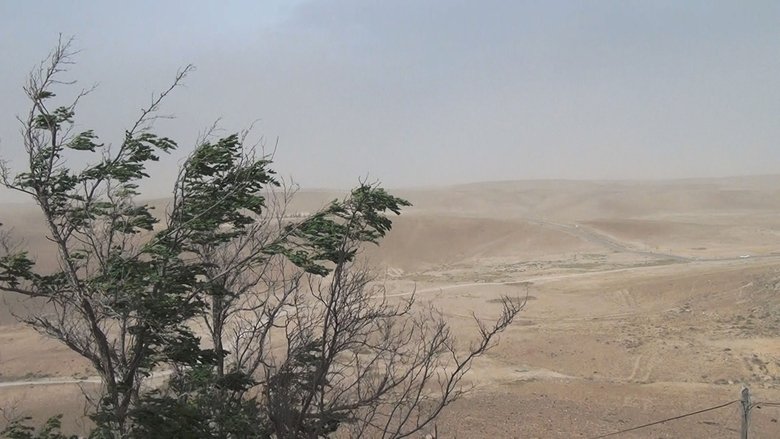 Backdrop image for movie No Home Movie
