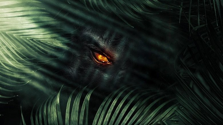 Backdrop image for movie The Jungle