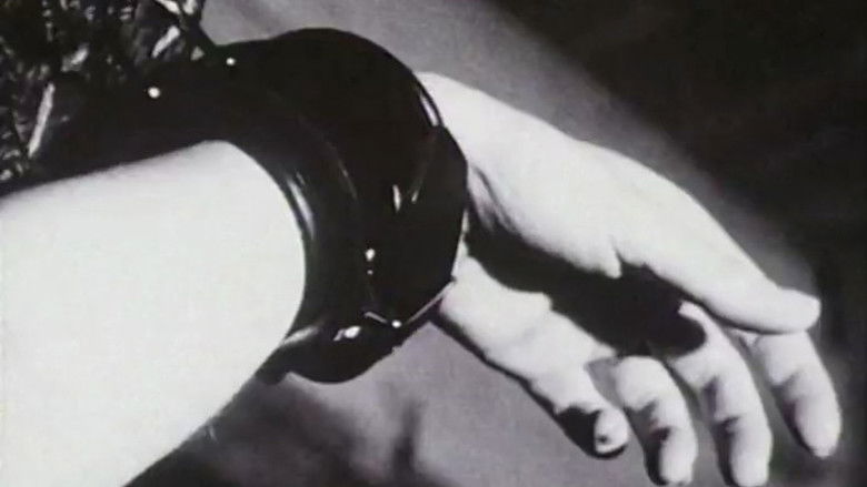 Backdrop image for movie The Sequence of Parallel Bars