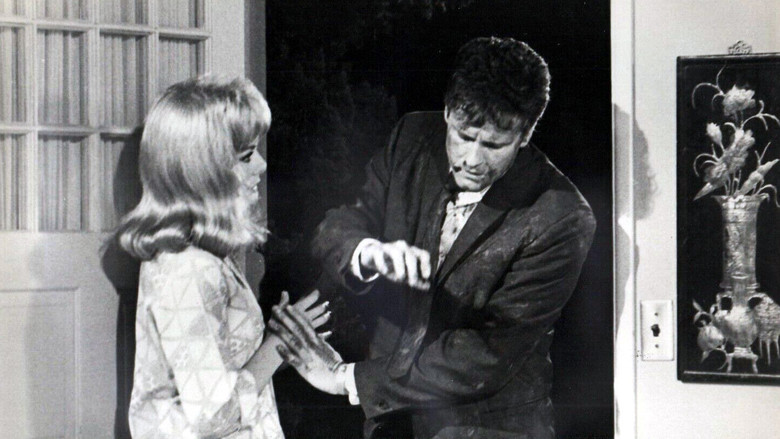 Backdrop image for movie The Money Jungle