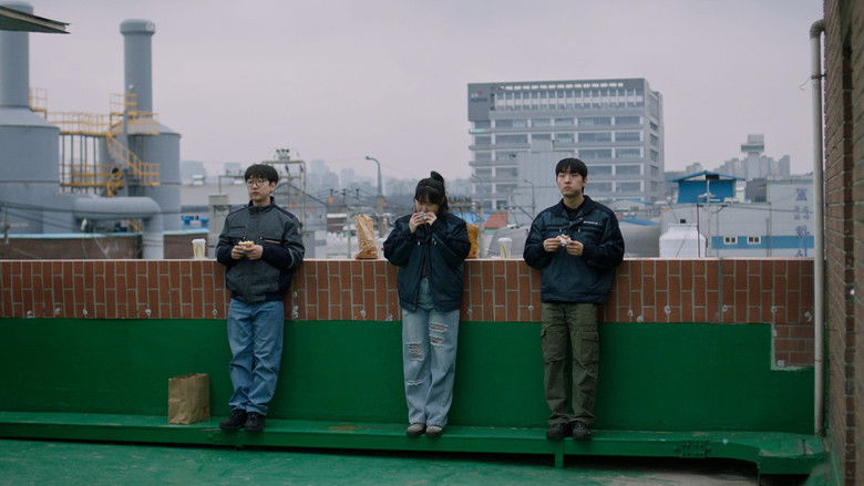 Backdrop image for movie The Final Semester