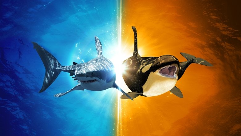 Backdrop image for movie Killer Shark Vs. Killer Whale