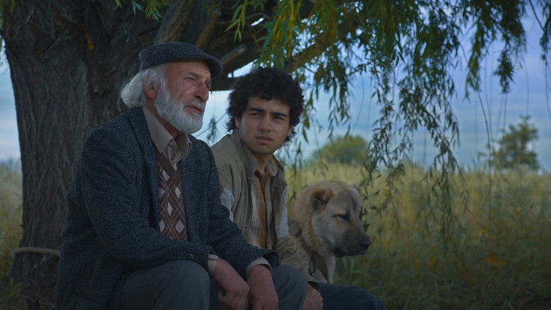 Backdrop image for movie Island Ararat