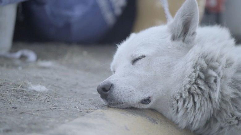 Backdrop image for movie Hidden