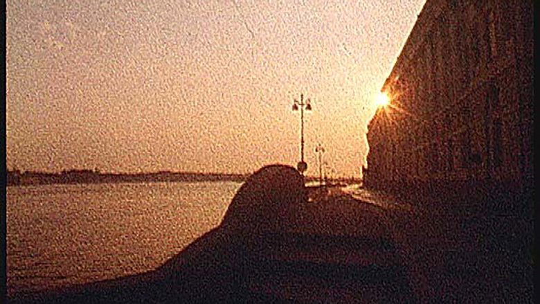 Backdrop image for movie Phantoms of White Nights