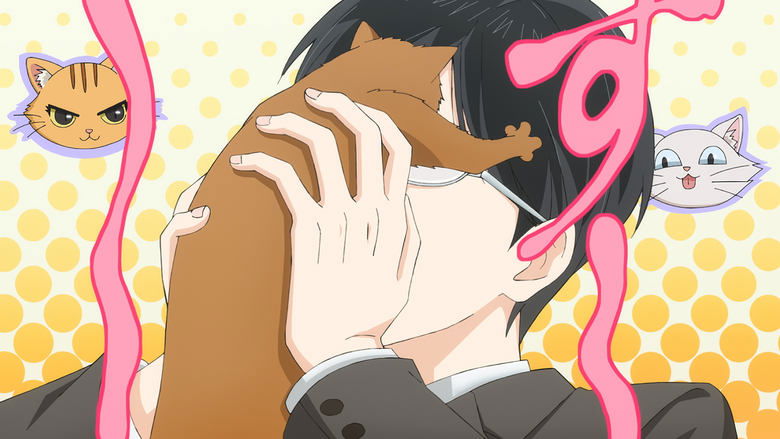 Backdrop image for movie Tamagawa-kun Wants to be a Cat