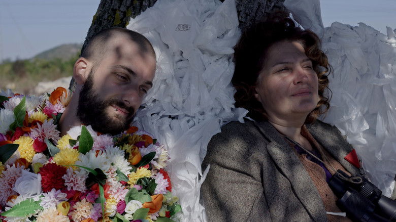 Backdrop image for movie Boswellia sacra