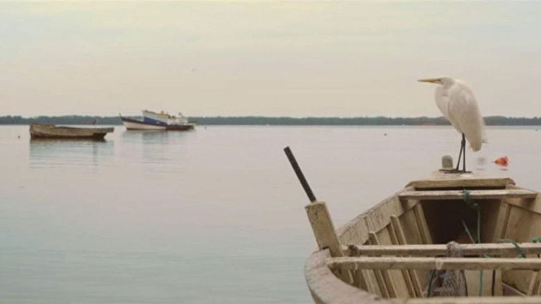 Backdrop image for movie Doidos de Pedra - O Paraíso Esquecido