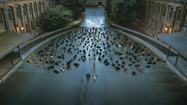 Backdrop image for movie White God