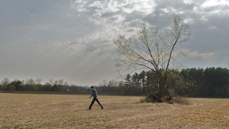 Backdrop image for movie Son of the Sunshine