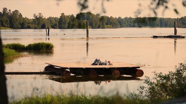 Backdrop image for movie summerdream