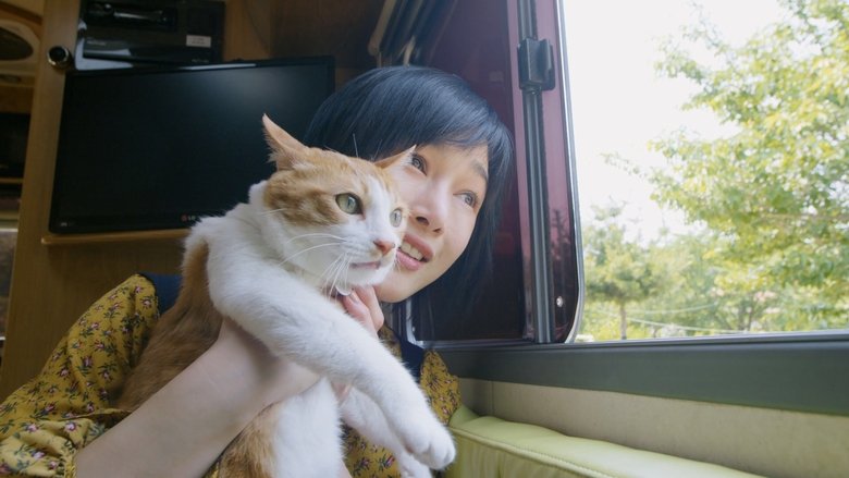 Backdrop image for movie The Journey of the 12 Cats
