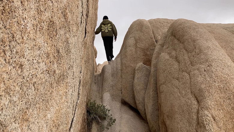 Backdrop image for movie The Parallel Coast