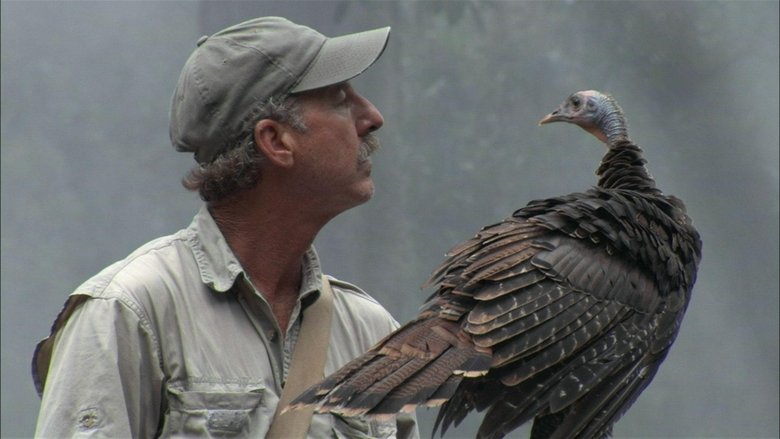Backdrop image for movie My Life as a Turkey