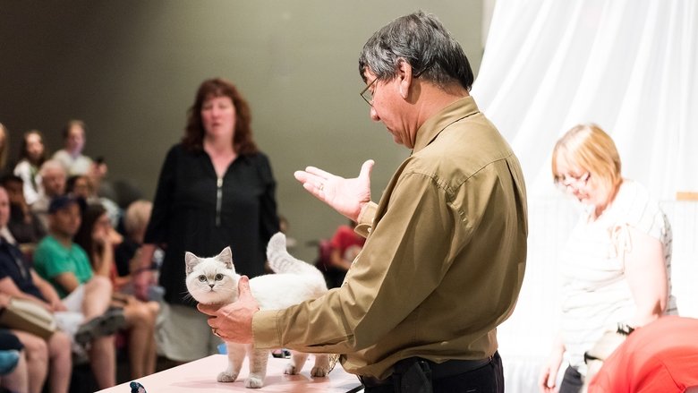 Backdrop image for movie Catwalk: Tales from the Catshow Circuit