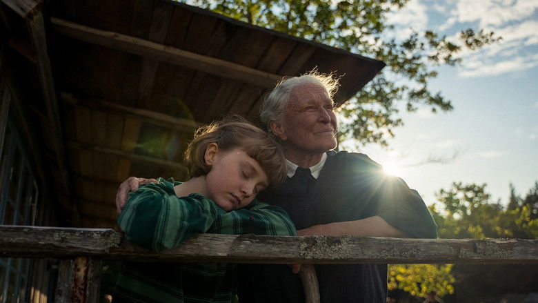 Backdrop image for movie The Summer Book