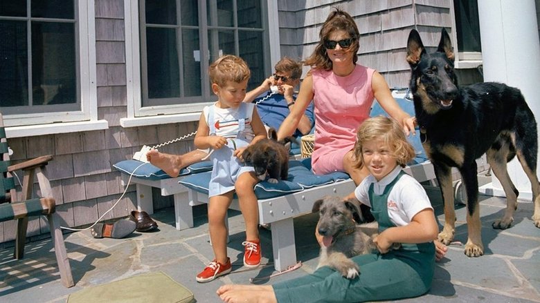 Backdrop image for movie The Kennedy Dynasty