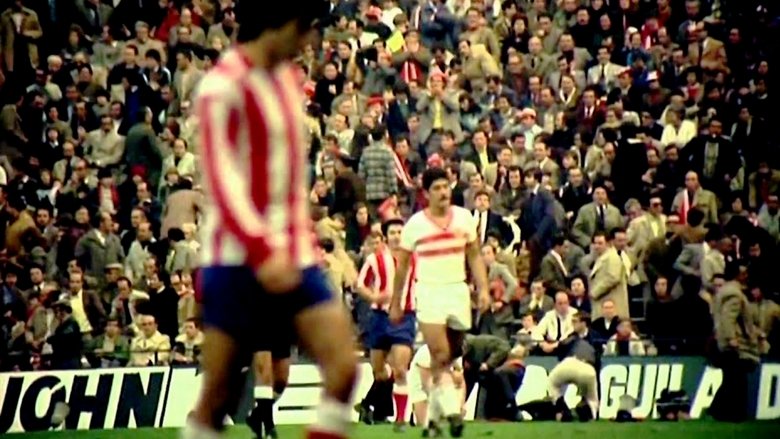 Backdrop image for movie ¡Al fútbol!