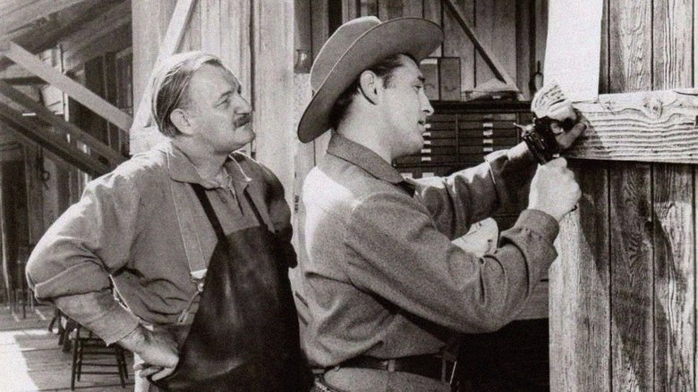 Backdrop image for movie Man with the Gun