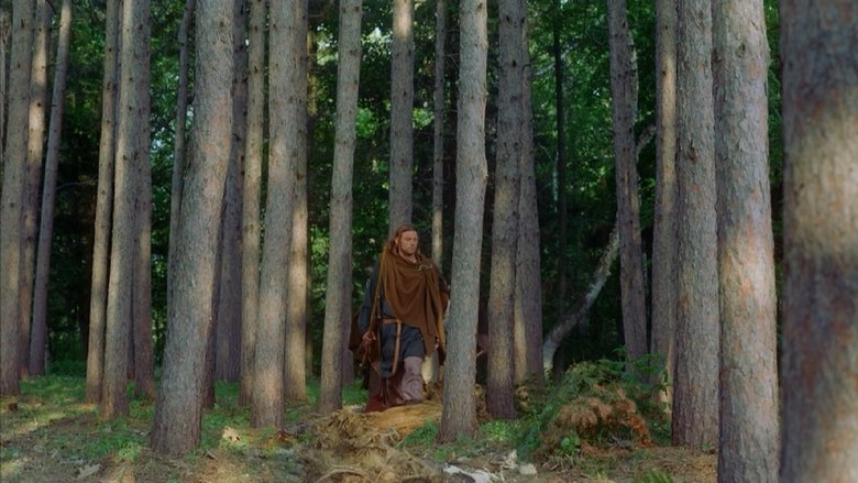 Backdrop image for movie Vikings: Journey to New Worlds