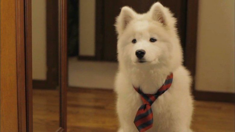 Backdrop image for movie Mr. Inukai Keeps a Dog