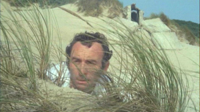 Backdrop image for movie Private Beach