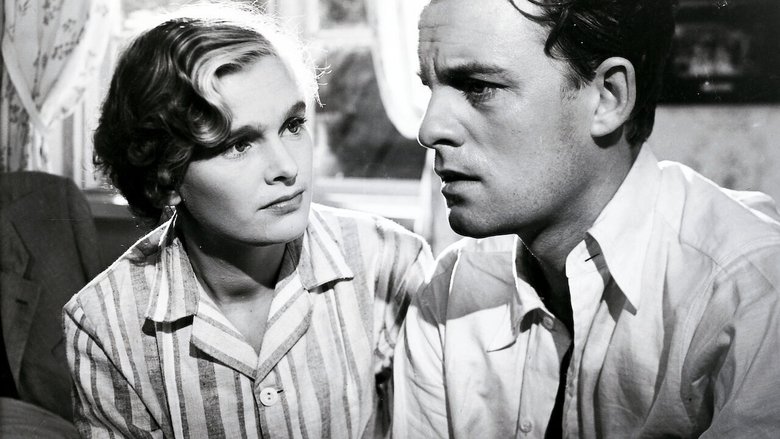 Backdrop image for movie The White Cat