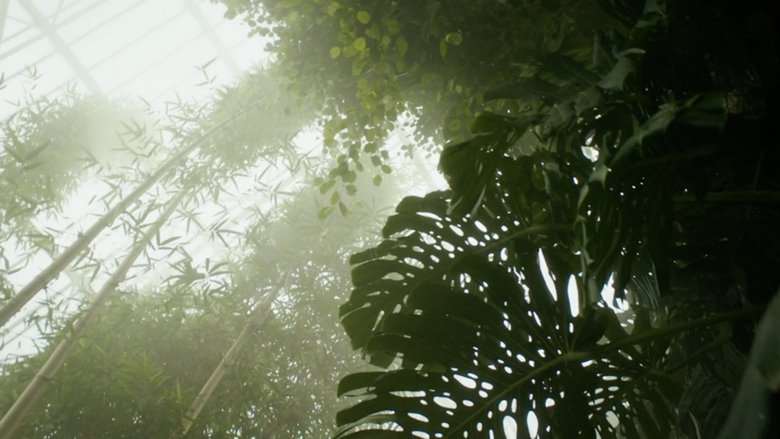 Backdrop image for movie Paradise Lost?
