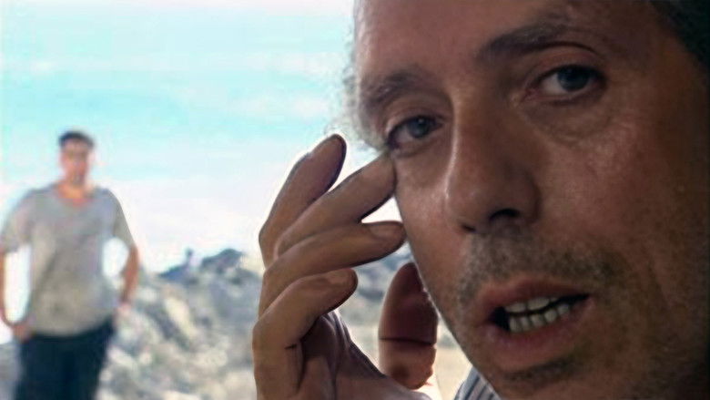 Backdrop image for movie Regards D'en Face - Alger