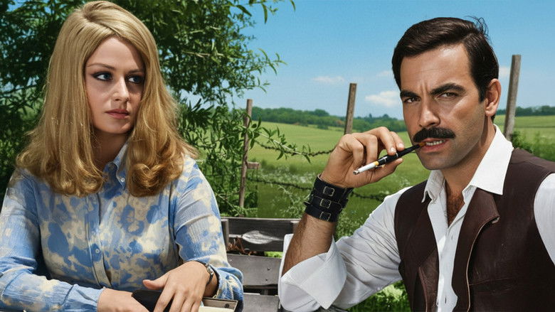 Backdrop image for movie Gecelerin Kralı