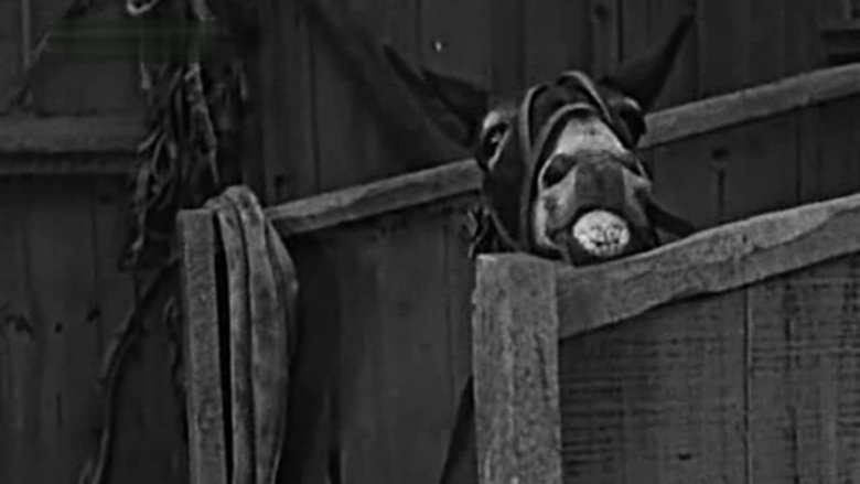 Backdrop image for movie The Champeen