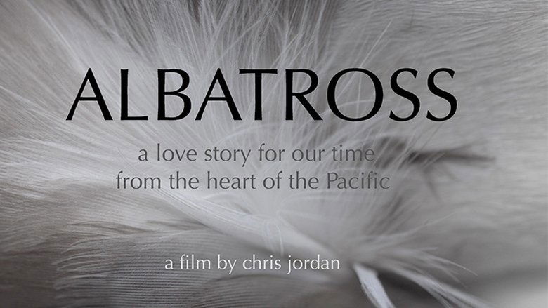 Backdrop image for movie Albatross