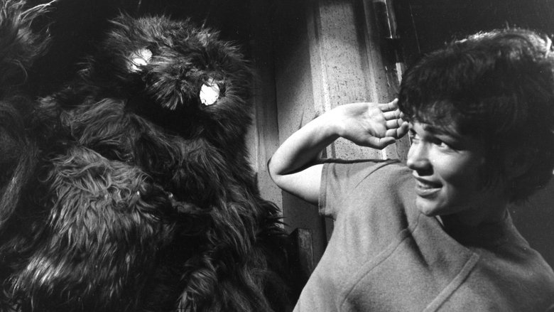Backdrop image for movie Doctor Who: The Web of Fear
