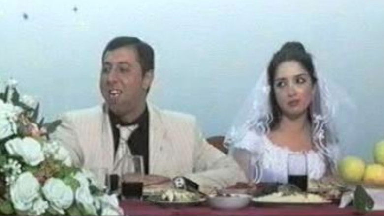 Backdrop image for movie Fly