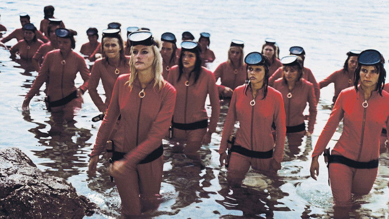 Backdrop image for movie The Sunny Whirlpool