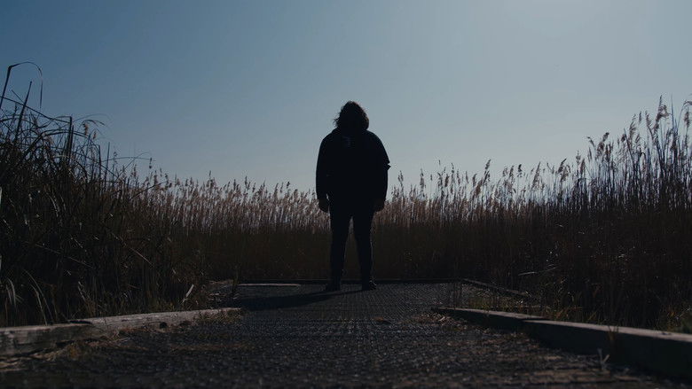 Backdrop image for movie The Caricature: Requiem