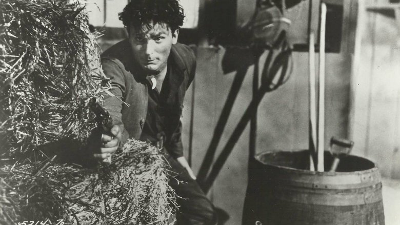 Backdrop image for movie Son of Belle Starr